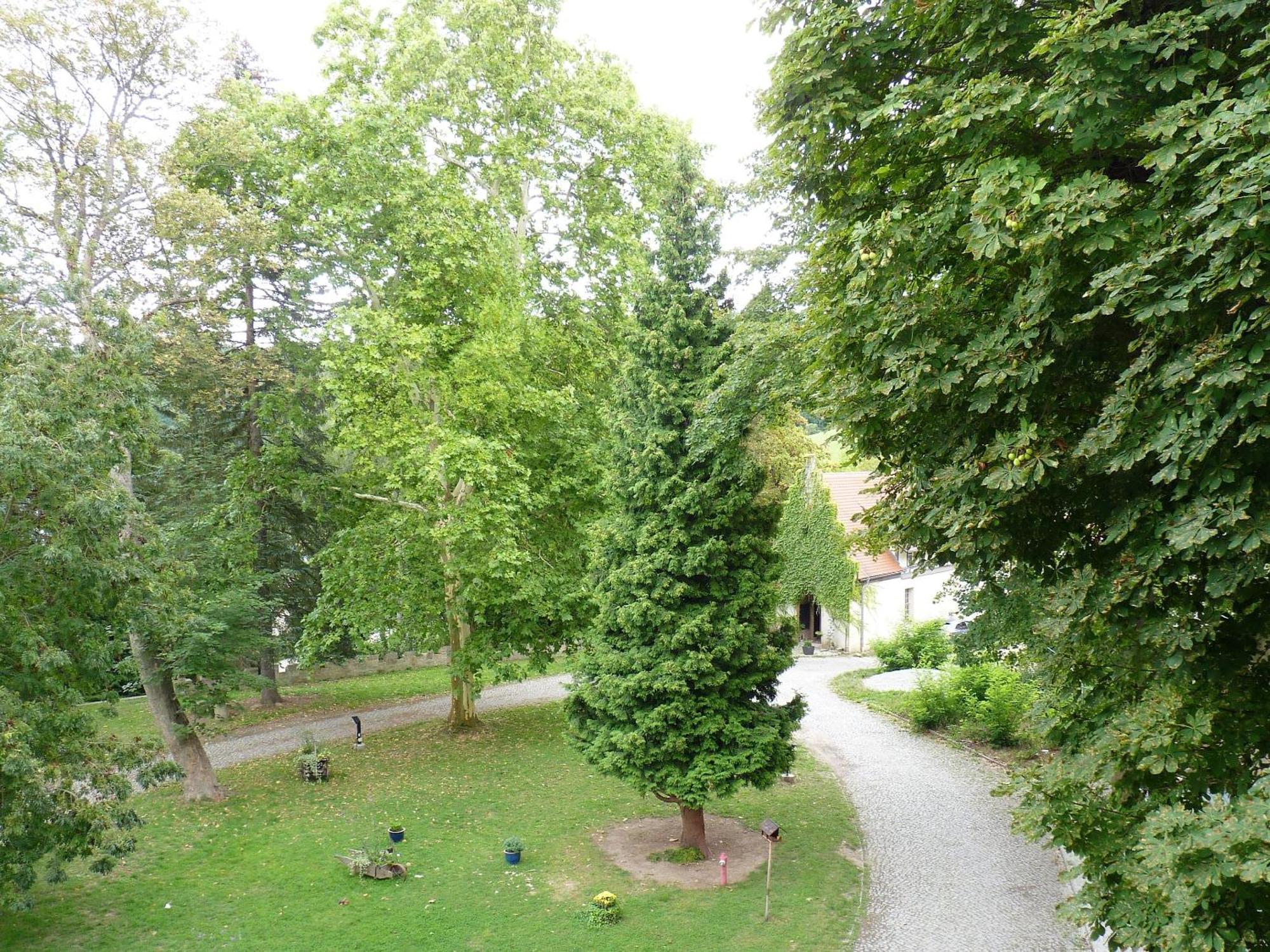 Hotel&Restaurant Schloss Weißenburg Uhlstädt Zimmer foto